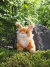 Kissa Maine Coon Oranssi Pehmo